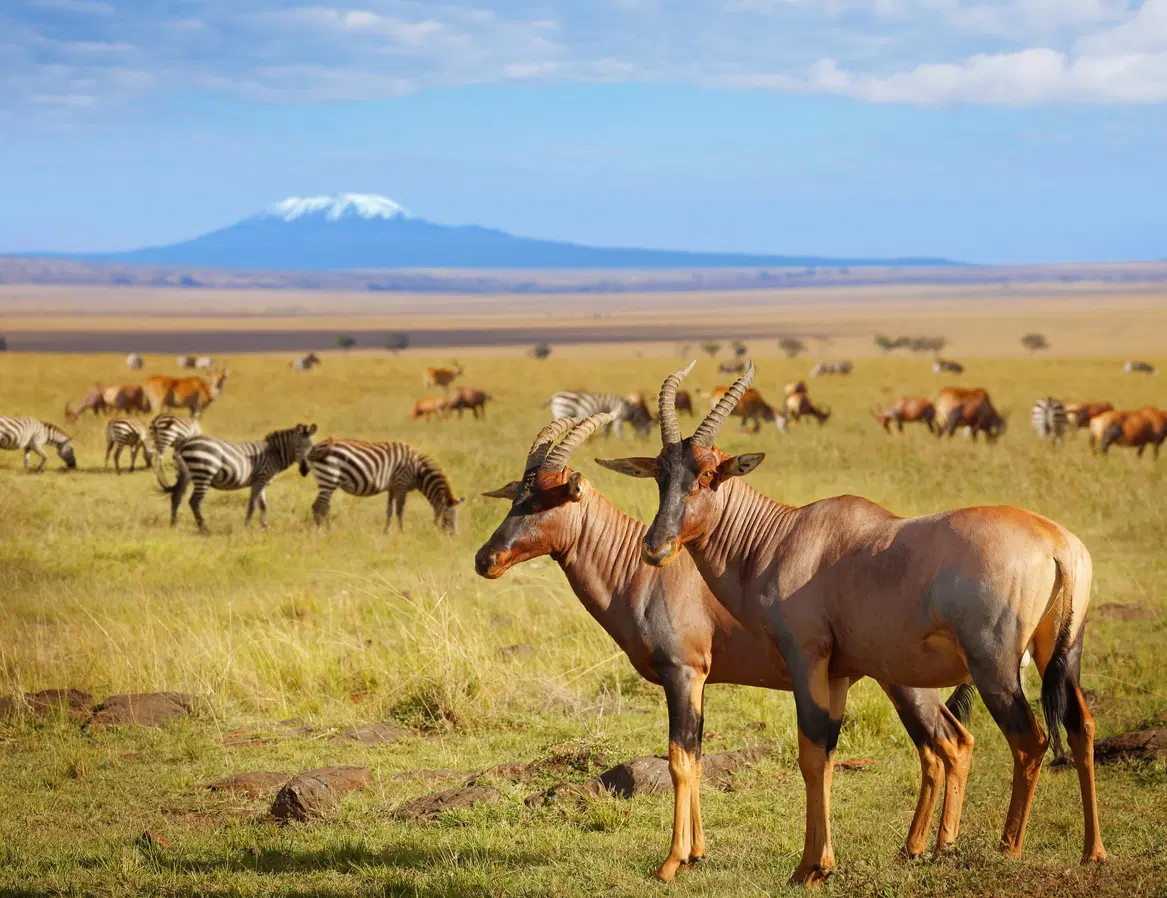 Mount Kenya Trek